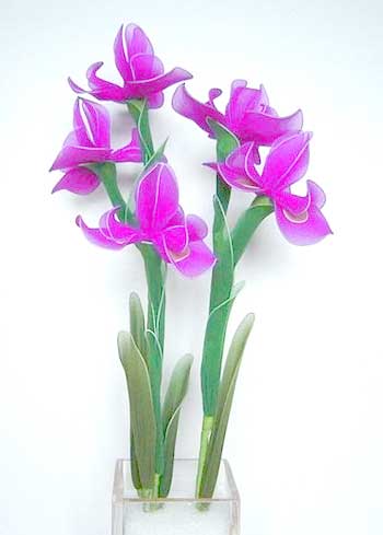 kapron2_-odeon.jpg kapron2_-odeon.jpg